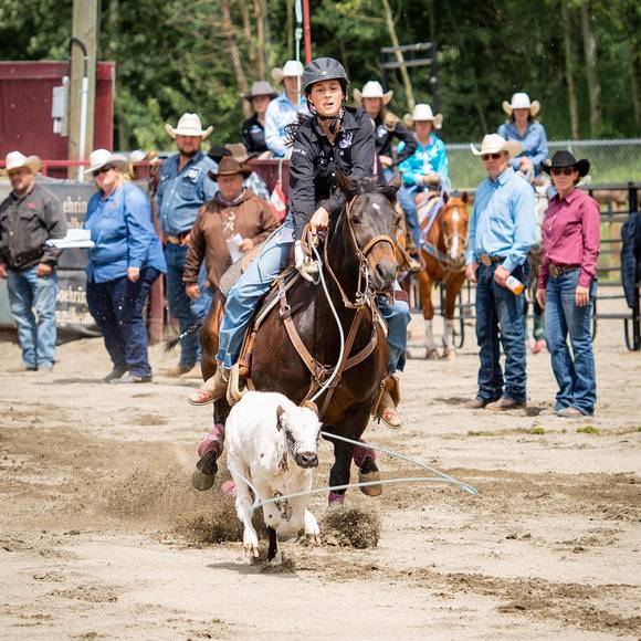 Meet your Posher, Jodi - Picture 1 of 1